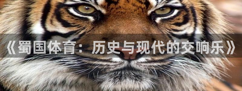 球速体育：《蜀国体育：历史与现代的交响乐》
