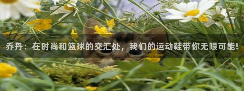 球速体育：乔丹：在时尚和篮球的交汇处，我们的运动鞋带你无限可能!