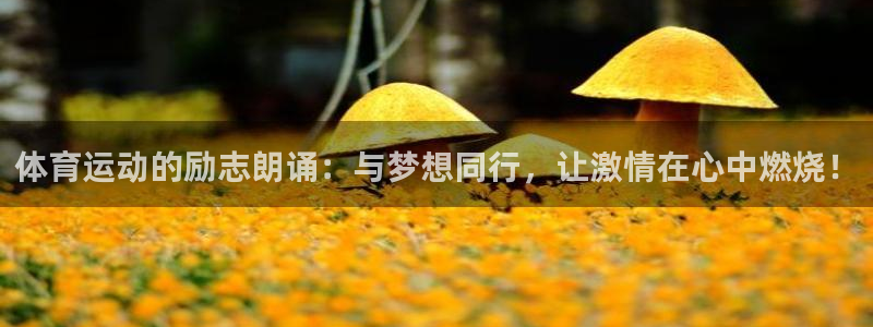 球速体育：体育运动的励志朗诵：与梦想同行，让激情在心中燃烧！