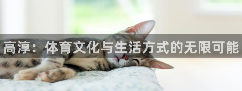 球速体育：高淳：体育文化与生活方式的无限可能