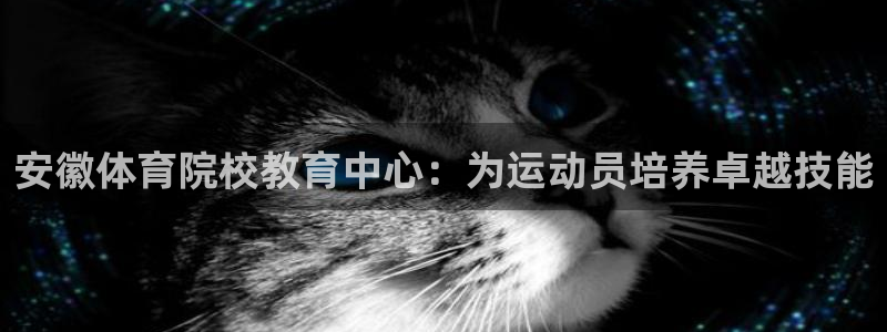 球速体育：安徽体育院校教育中心：为运动员培养卓越技能