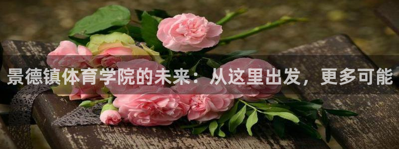 球速体育：景德镇体育学院的未来：从这里出发，更多可能