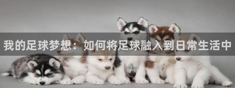 球速体育：我的足球梦想：如何将足球融入到日常生活中