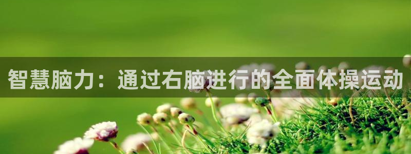 球速体育：智慧脑力：通过右脑进行的全面体操运动