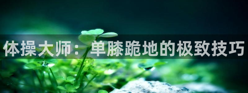 球速体育：体操大师：单膝跪地的极致技巧