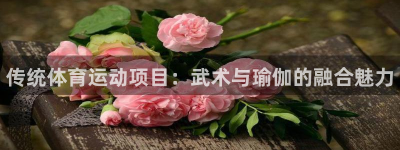 球速体育：传统体育运动项目：武术与瑜伽的融合魅力
