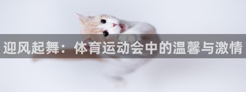球速体育：迎风起舞：体育运动会中的温馨与激情